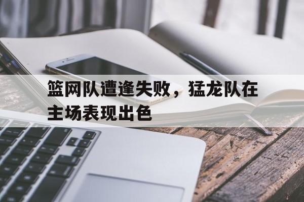 篮网队遭逢失败,猛龙队在主场表现出色的简单介绍