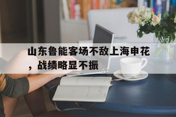 山东鲁能客场不敌上海申花，战绩略显不振的简单介绍