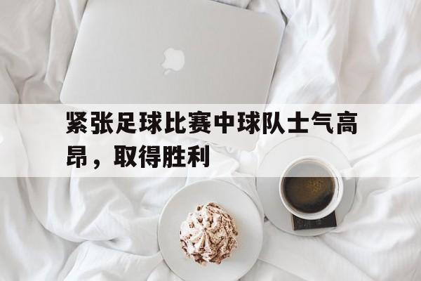 包含紧张足球比赛中球队士气高昂，取得胜利的词条